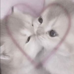 Meet your Posher, Iris